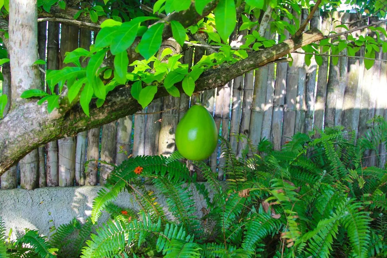 **  Zion Country Bed & Breakfast Manchioneal Jamaica