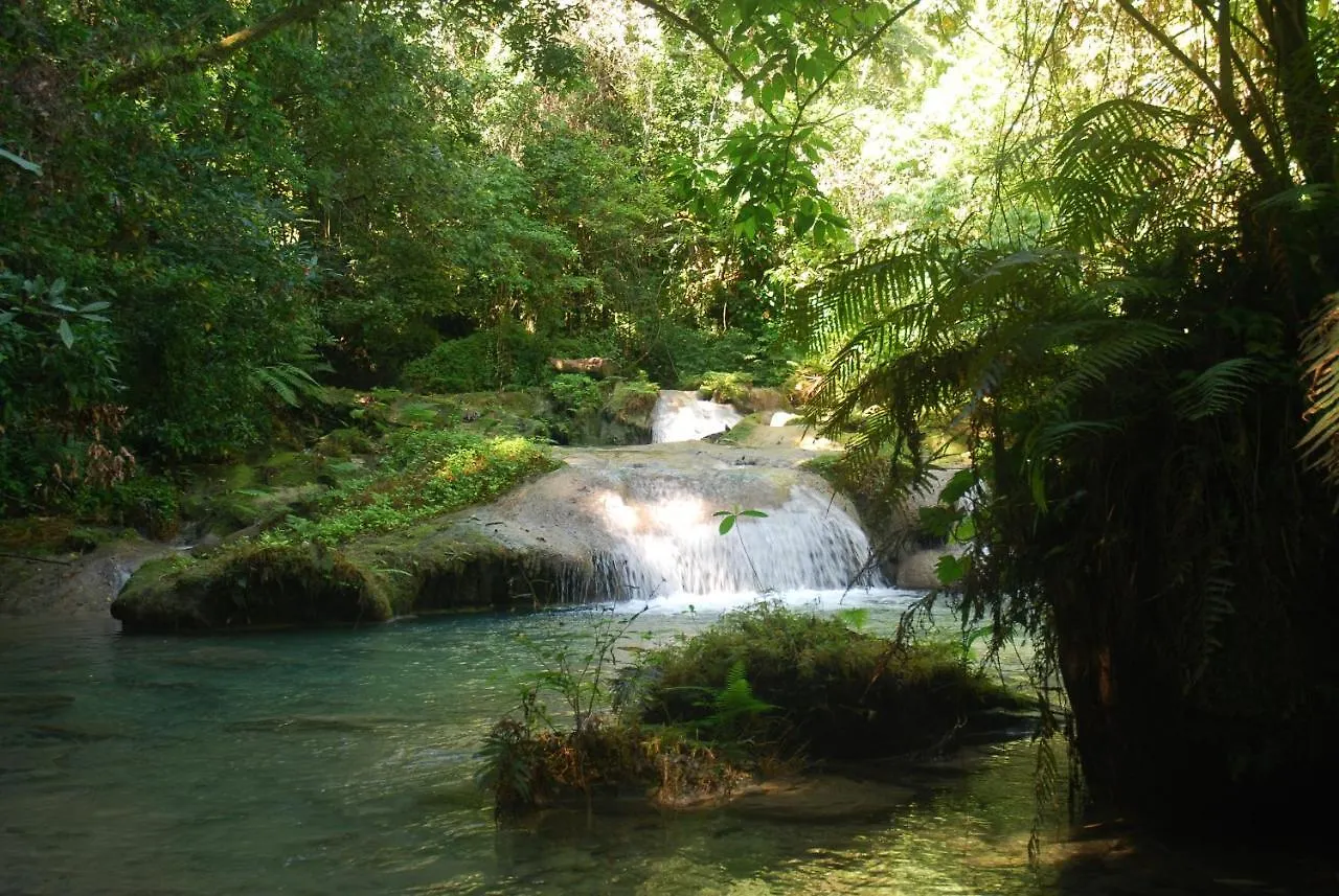 Zion Country Bed & Breakfast Manchioneal 2*,  Jamaica